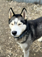 /album/188/whatsapp-image-2025-12-09-at-17-59-44-jpeg/